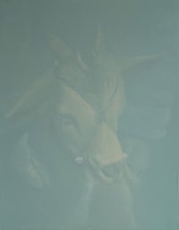 Image 2 of ALBERTO RUCE - Mordacchia