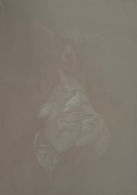 Image 2 of ALBERTO RUCE - Pinseru #1