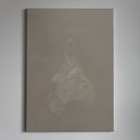 Image 1 of ALBERTO RUCE - Pinseru #1
