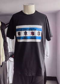 Image 1 of Monster Mayhem Creations x Chicago Flag (1st Run)
