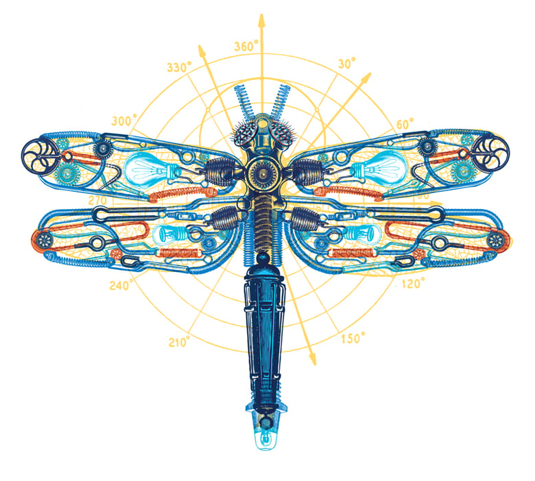 Image of Aerial Acrobat (Dragonfly)