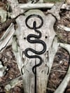 Serpent Pendant V