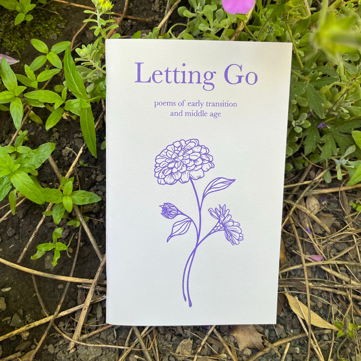 Image of Letting Go (Zine)