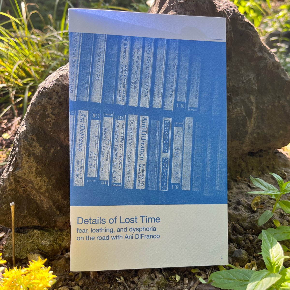 Image of Details of Lost Time (Zine)