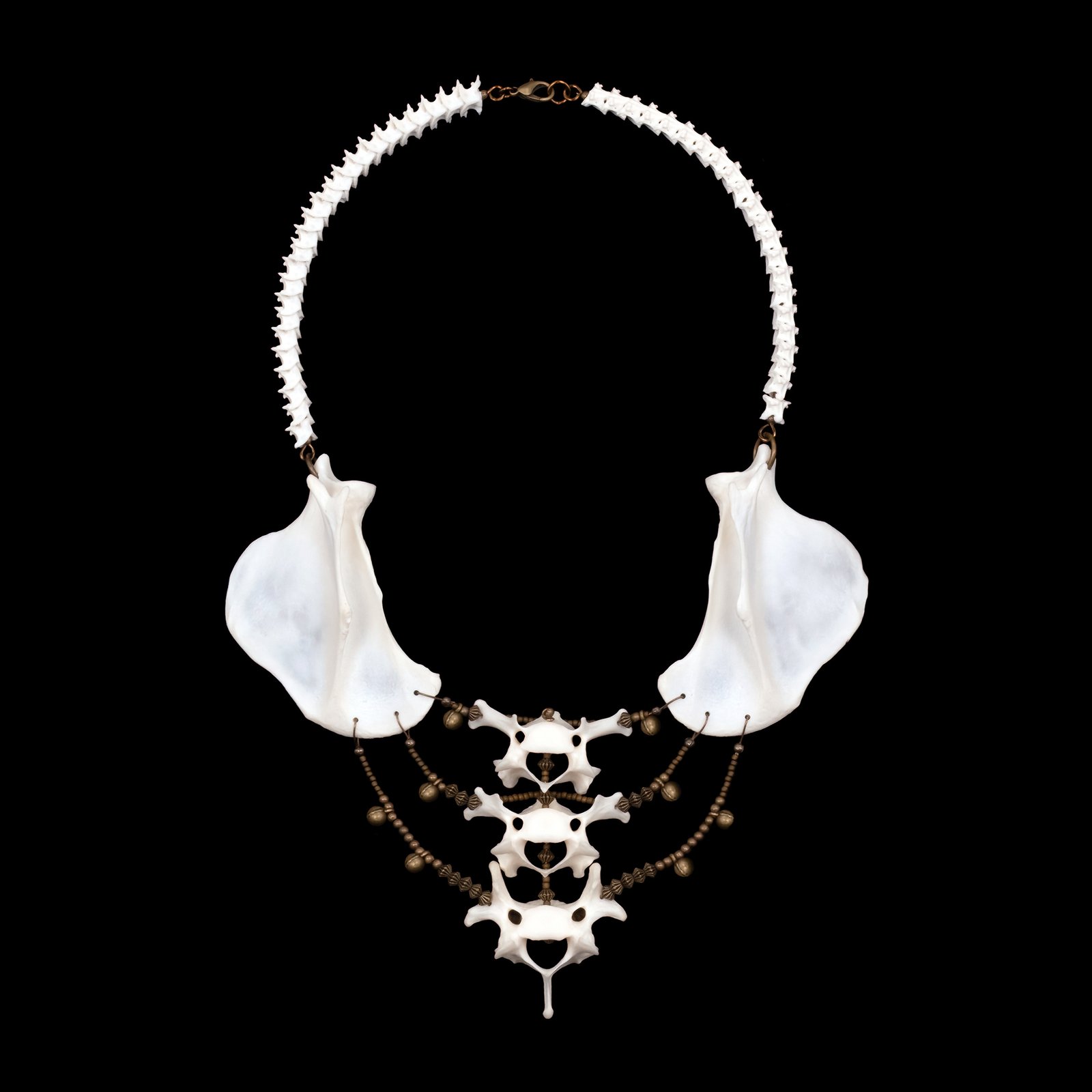 アクセサリー h'eres CETACEA BONE NECKLACE CETACEA BONE NECKLACE – h'eres