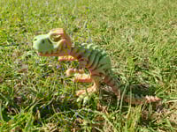 Image 2 of Medium Skeleton T-rex