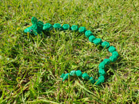 Image 4 of Snakes