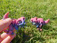 Image 2 of Mini Raptors