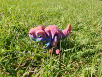 Image 3 of Mini Raptors