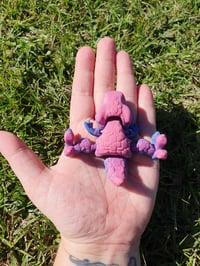 Image 4 of Mini Raptors