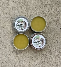 Image 4 of Gentle Giants Salve