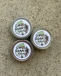 Image 5 of Gentle Giants Salve