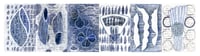 Image 2 of KEW Millennium Seedbank Narratives : journal pages