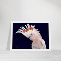 Image 3 of Cockatoo on canvas 