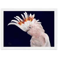 Image 2 of Cockatoo on canvas 