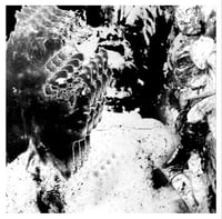 Image 4 of Innominate - Black and White Design 