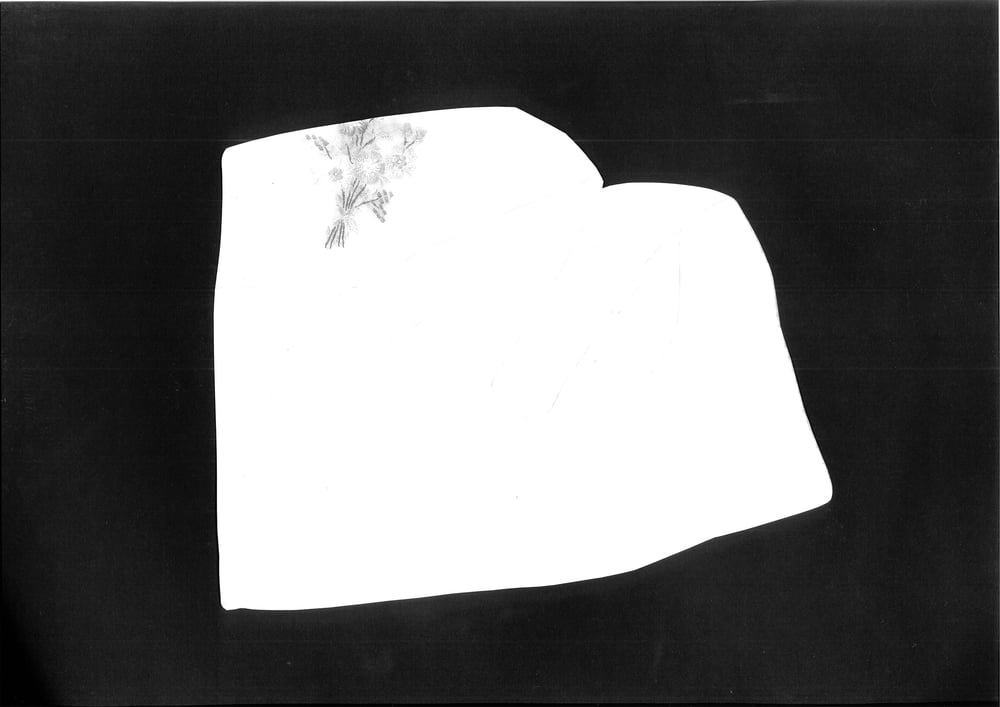 Amalia Pica, Farewell (unique photocopies), 2009