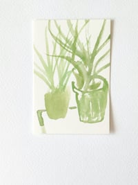 'Windowsill,' 2024.