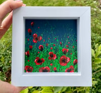 Image 1 of 'Red Poppies'