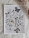 Butterfly Lovely Illustration Print