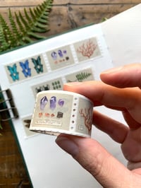 Image 4 of Specimen Drawer Stamp Washi Tape (25mm wide, stamp perforation)