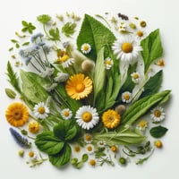 Image 1 of After Sun Pain Relief + Healing Cream