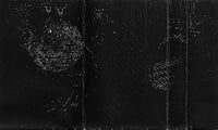 Image 3 of Calling Of Phasmic Presence-Collection I MC