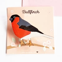 Bullfinch brooch, wooden bullfinch bird brooch