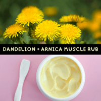 Dandelion + Arnica Muscle Rub