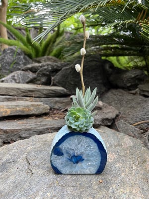 Image of CONTEMPORARY AGATE DESKTOP GARDEN