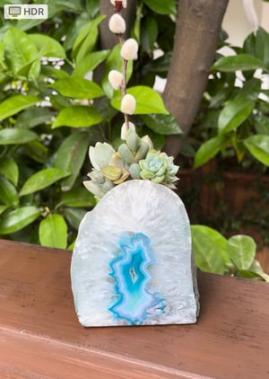 Image of CONTEMPORARY AGATE DESKTOP GARDEN