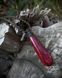 Image 3 of Aotearoa Red Jasper