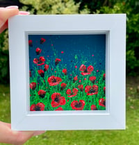 Image 3 of 'Scarlet Poppies'