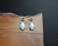 Opal and salt and pepper diamond earnings 