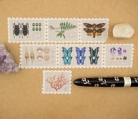 Image 2 of Specimen Drawer Stamp Washi Tape (25mm wide, stamp perforation)