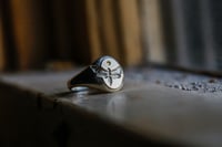 Image 4 of Moth Signet 