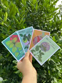 Image 2 of Postcards “Jevas del Monte”
