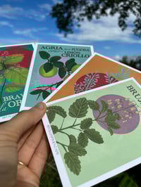 Image 3 of Postcards “Jevas del Monte”