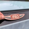 Pao wings stickers - 9 different colours!