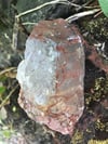 Rutilated Quartz