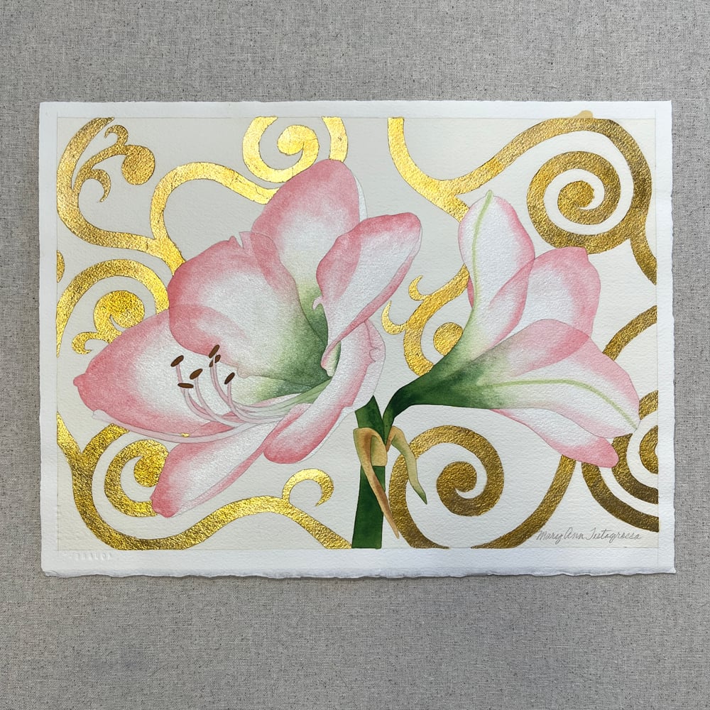 Image of Pink Amaryllis - Watercolor
