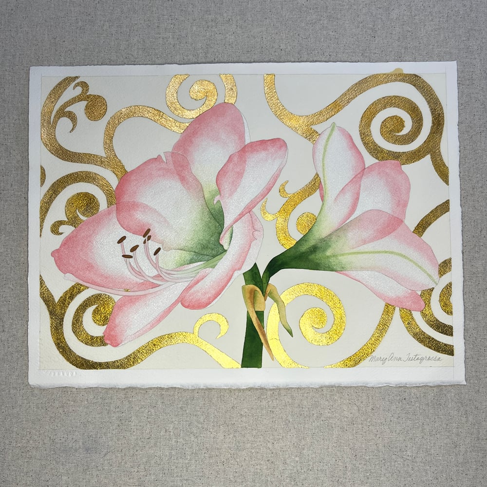 Image of Pink Amaryllis - Watercolor