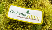 Image 2 of Õwhango Alive Fundraiser Patch