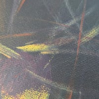 Image 3 of Sesame's Violets