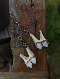 Image 1 of IMPETUS - Deer Tooth Earrings