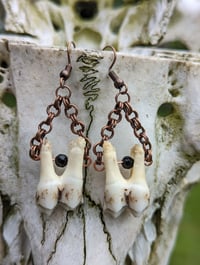 Image 2 of EFFETE - Deer Tooth Earrings