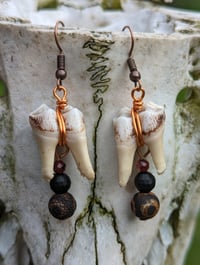 Image 1 of MOLLIFY - Deer Tooth Earrings