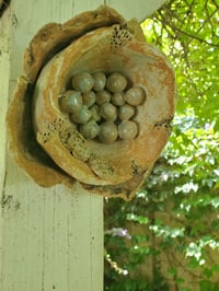 Image 1 of Flower Nest