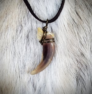 Image of Wolf Claw Necklace
