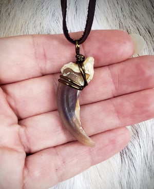 Image of Wolf Claw Necklace